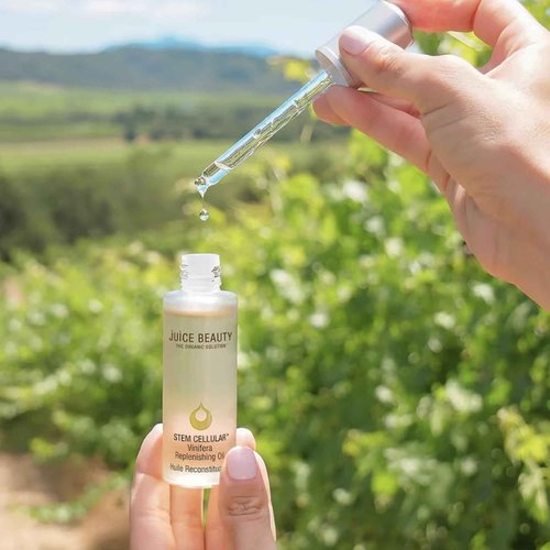 JB SC, STEM CELLULAR Vinifera Replenishing Oil, 30ml