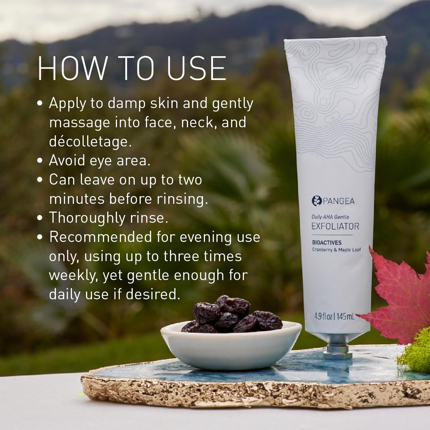 Pangea Organics - Natural Cranberry + Maple Leaf Daily AHA Gentle Exfoliator | Vegan, Non-Toxic, Sustainable Clean Beauty (Aluminum Tube, 4.9 oz | 145 ml)