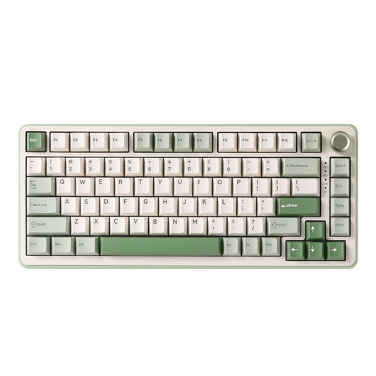 YUNZII B75 PRO Wireless Mechanical Keyboard,75% Layout with Knob,Hot Swap Gasket Structure,Creamy Pre-lubed Switches,RGB Backlit,Bluetooth/Type-C/2.4G for Win/Mac (Matcha Green, Milk Switch)