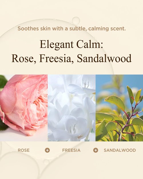 DANAHAN Bon Yeon Jin Korean Red Ginseng Eye Cream Duo Set - Anti-Aging Treatment for Dark Circles Fine Lines with Ceramide and Shea Butter, Intensive Skincare, 1.01 oz.