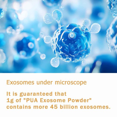 Japan's New Exosome Revolution Deeper Absorption Premium PUA Exosome Firmer Radiant Skin, at-Home Treatment with Collagen Peptides Hyaluronic Acid