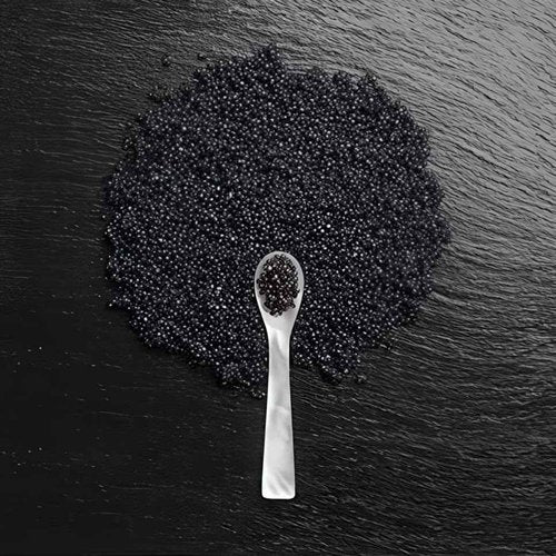 Alterna Caviar Anti-Aging Replenishing Moisture Shampoo/ Conditioner, 8.5 fl. oz.