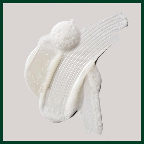 Aveda Shampure Hand & Body Wash | Liquid Hand Soap and Body Wash | with Calming Aroma of Lavender, Ylang Ylang, Petitgrain, 33.8 Fl Oz