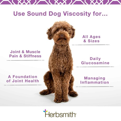Herbsmith Sound Dog Viscosity – Advanced Joint Support for Dogs – Veterinarian Recommended Glucosamine for Dogs, Hyaluronic Acid, Chondroitin, MSM – Natural Arthritis Pain Relief – 120ct Large Chews