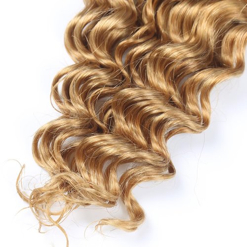 Leruikair Deep Wave Human Braiding Hair 50g Per Bundle 2 Pcs Total 100g 24 Inch Color 27# Honey Blonde Brazilian Virgin Bulk No Weft Braiding Human Hair for Black Women