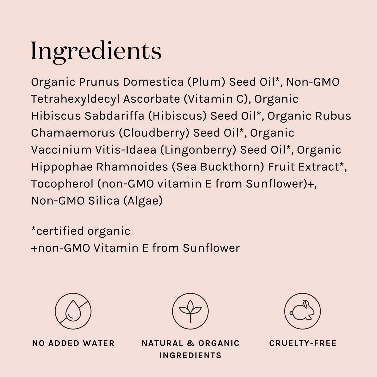 Kari Gran 10% Vitamin C Serum | Clean, moisturizing, skin brightening serum for glowing skin