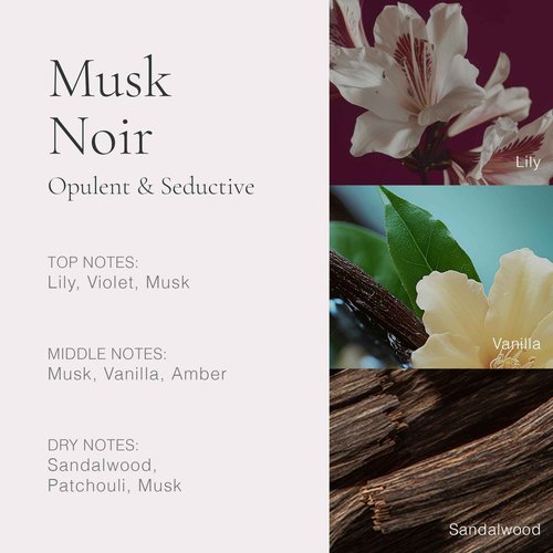 CLEAN H2EAU Musk Noir 1.7 Fl Oz