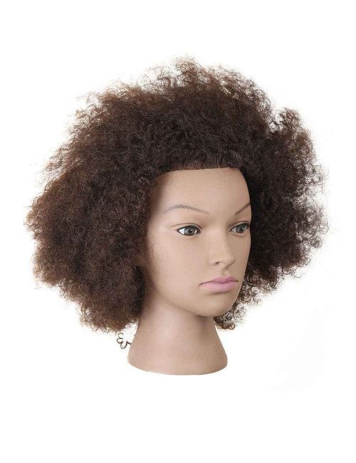 Kalyx Mannequin Head African American with 100% Human Hair Cosmetology Afro Hair Manikin Head for Practice Styling Braiding