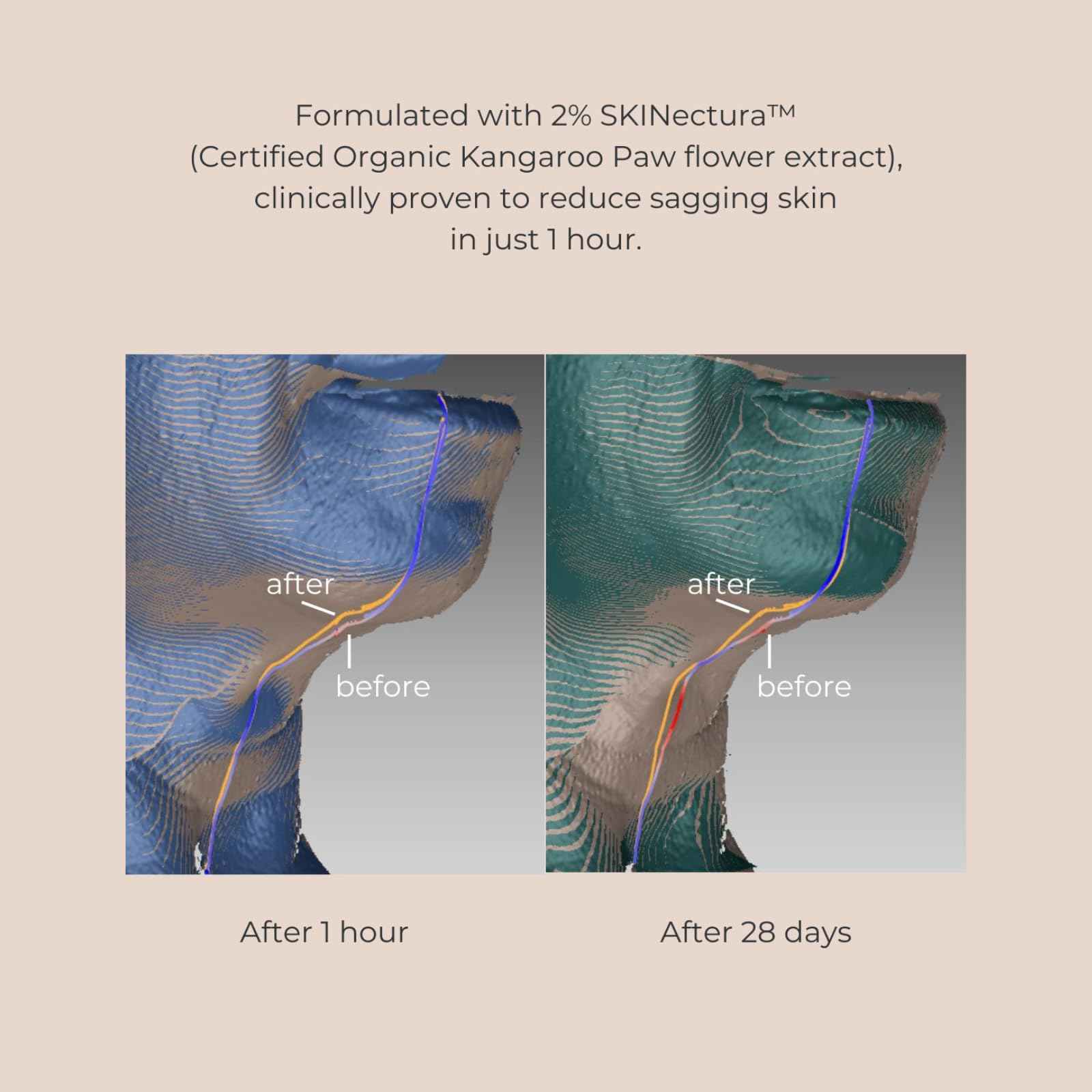 INIKA Organic Pure Perfection Primer | Clinically Proven to Boost Hydration + Reduce Wrinkles. Skincare Enriched. Smooth Dewy Finish. Extend Makeup & Create a Flawless Base. 30mL