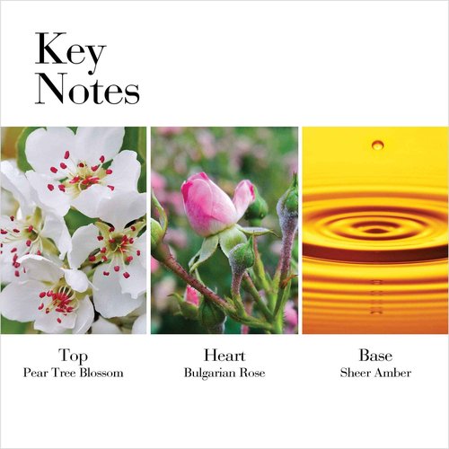 Elizabeth Arden White Tea Wild Rose Eau De Toilette Spray, Perfume for Women, 3.3 fl oz