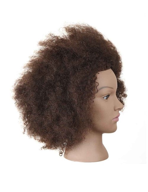 Kalyx Mannequin Head African American with 100% Human Hair Cosmetology Afro Hair Manikin Head for Practice Styling Braiding