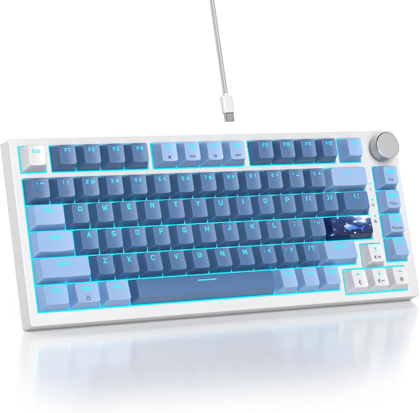 75% TKL Wired Mechanical Keyboard,RGB Backlit Gasket Mount 82 Key Hot Swappable Custom Linear Red Switch Gaming Keyboard with Volume Knob & PBT Keycaps (82 Monster B)