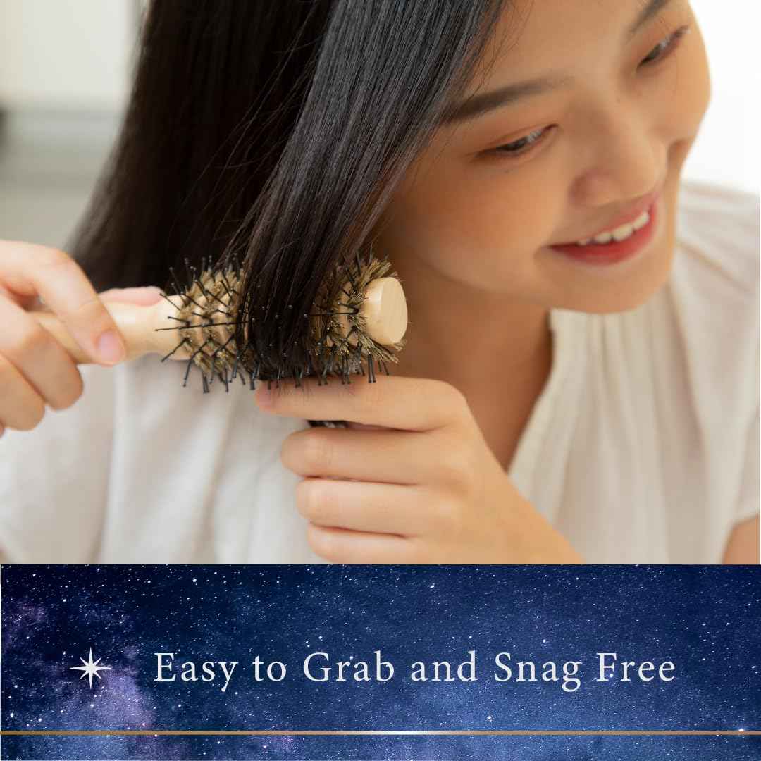 Pandora's Beauty Box The 101 GoShiny Hairbrush - FSC Wooden Handle/Boar Bristle Brush/Heat Resistant/Styling/Blowout/Patented (Large)