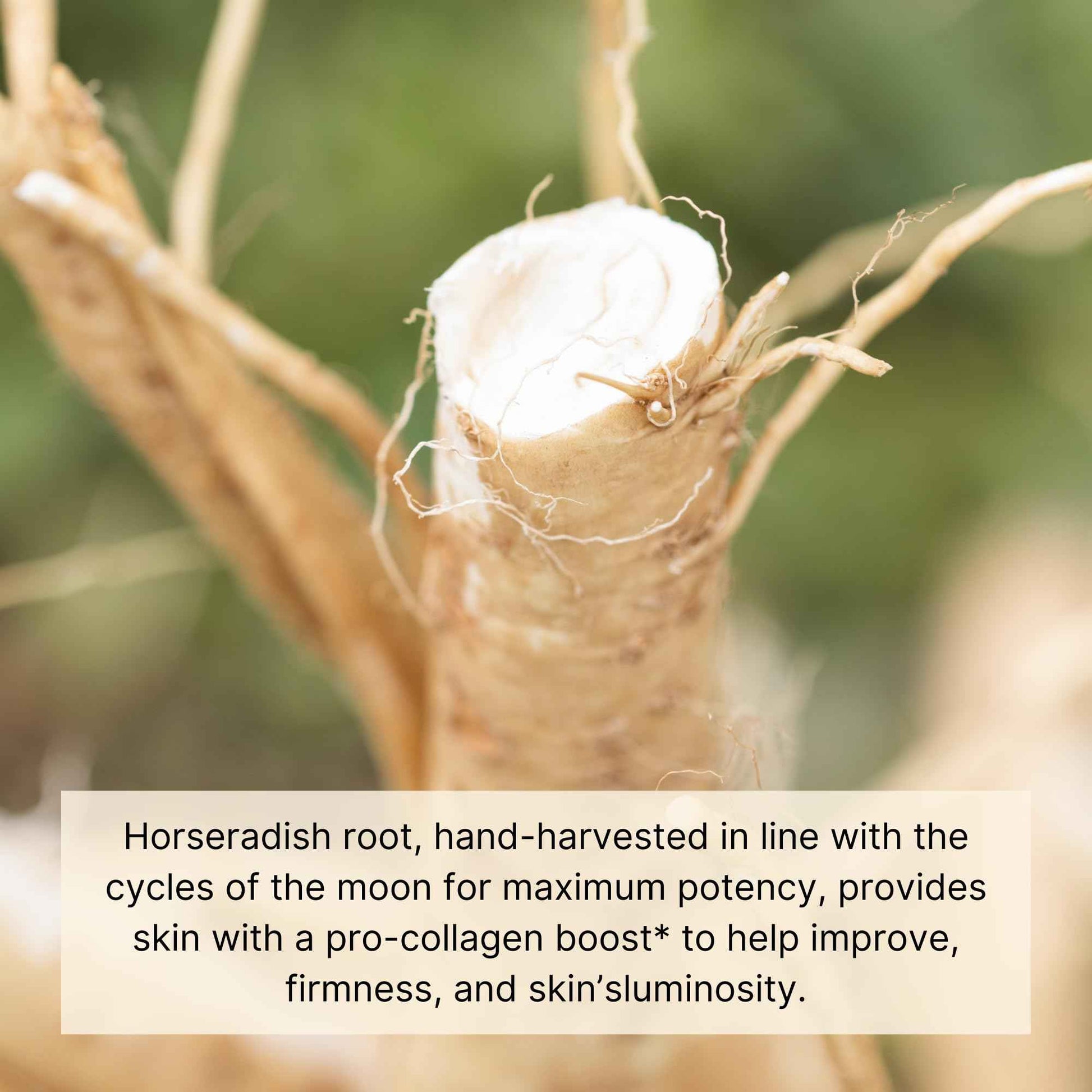 Jurlique. Nutri-Define Cream Mask 100ml | Hydrating Face Mask | For All Skin Types Including Dry, Oily & Sensitive Skin| Beauty Skincare Products for Women/Men | Australian Made