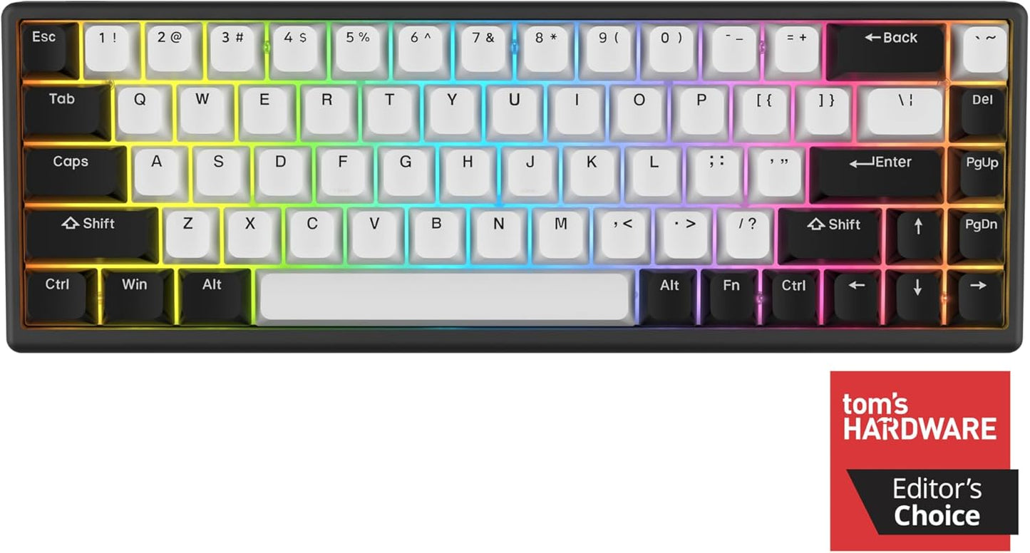 ARBITER Polar 65 - CNC Magnetic Gaming Keyboard w Rapid Trigger, Hall Effect Switches, CNC Aluminum Frame, Rapid Key, 65% Compact, Bright RGB, Dual-Shot PBT Keycaps - Kumo Blue