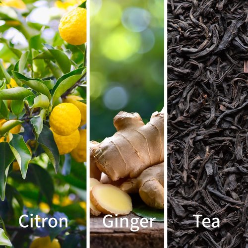 INDIRA Fresh Citron - Eau De Parfum - Citrus Aromatic - Unisex - 100 ML / 3.4 FL OZ - Spray