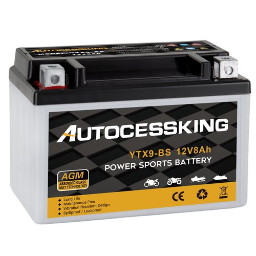YTX9-BS 12V 8Ah Motorcycle Battery, Rechargeable Sealed AGM Battery Maintenance Free Powersport Replacement Battery for ATV and Scooter
