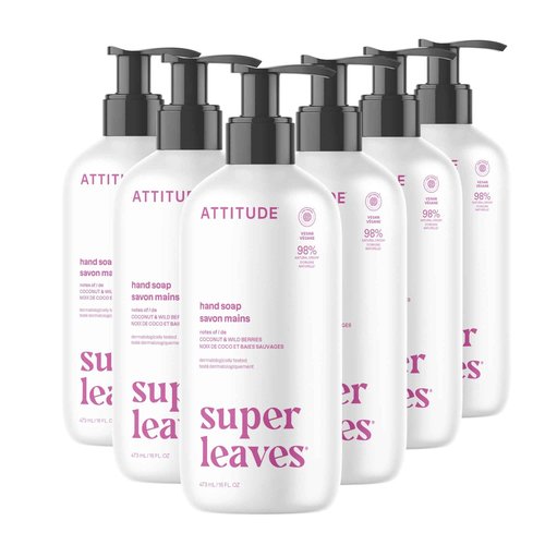 ATTITUDE Liquid Hand Soap, EWG Verified, Plant and Mineral-Based, Vegan Personal Care Products, Coconut & Wild Berries Scent, 16 Fl Oz (Pack of 6)