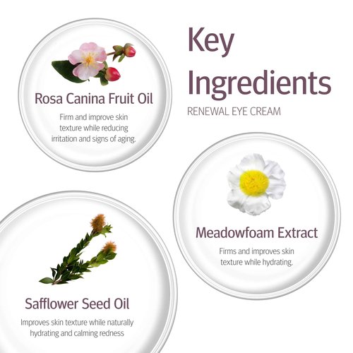 Epionce Renewal Eye Cream - Anti-Aging, Under Eye Cream for Dark Circles, Fine Lines, Wrinkles & Puffiness with Hyaluronic Acid, For All Skin Types, Dermatologist Skincare