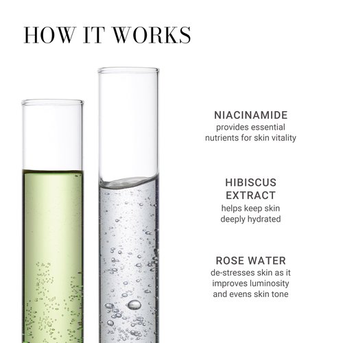 Meaningful Beauty Hydrating and Soothing Facial Mist with Niacinamide, 3.4 fl. oz