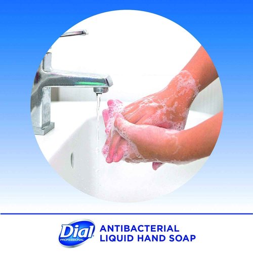Dial Professional Gold Antibacterial Liquid Hand Soap, 16 OZ Pump Bottle (Pack of 12)