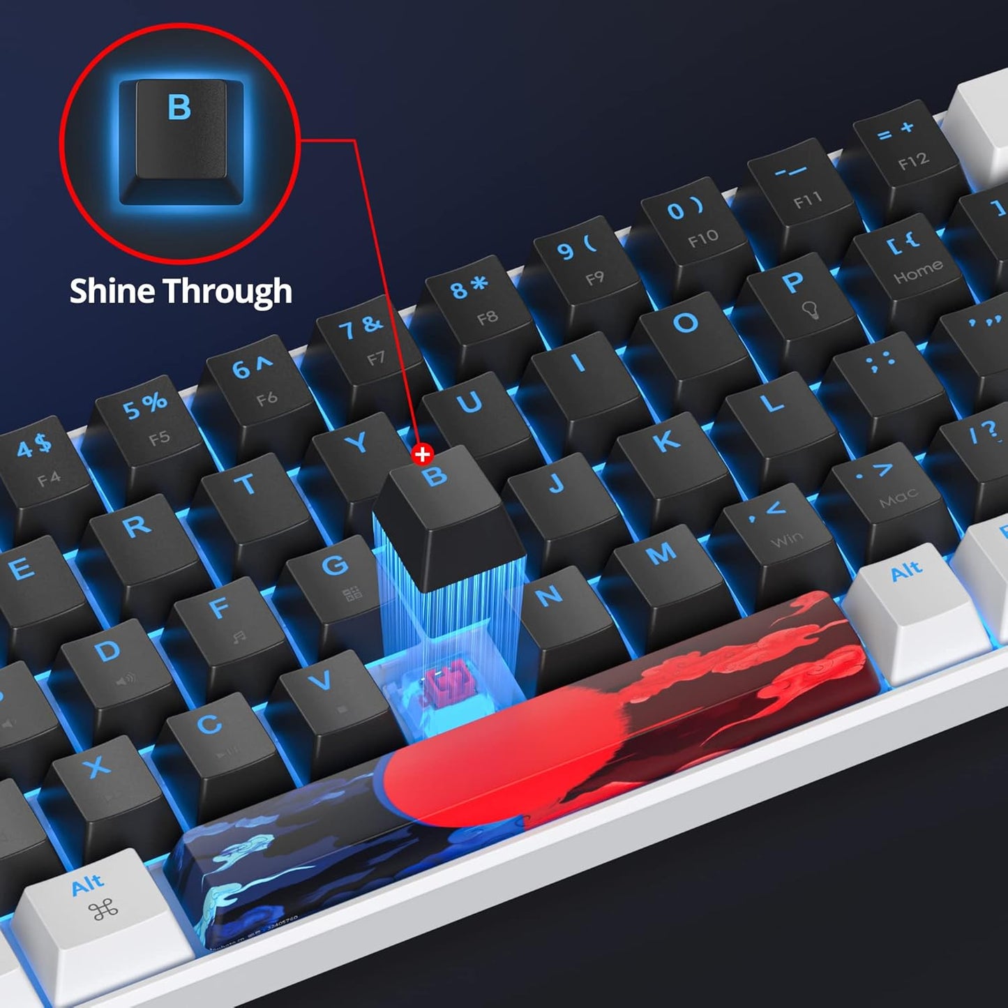 60 Percent Gaming Keyboard 68 Keys Mechanical Keyboard LED Backlit Compact Wired Keyboard with Red Switch for Windows PS4/5 Xbox Gamer(Black-White)