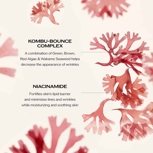 Shiseido Benefiance Wrinkle Smoothing Cream Enriched - 50 mL - Anti-Aging Moisturizer for Dry to Very Dry Skin - Visibly Corrects Wrinkles & Intensely Hydrates - Non-Comedogenic