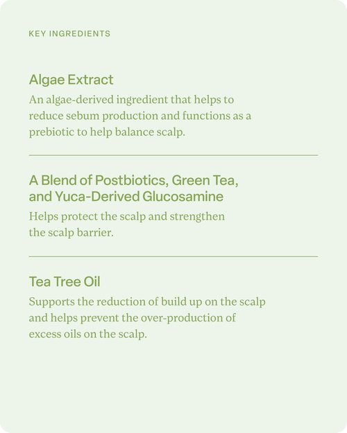 Divi Hydrating Starter Bundle - Scalp Serum, Hydrating Shampoo & Conditioner - Deep Hydration and Scalp Care Routine for Thicker Hair Types