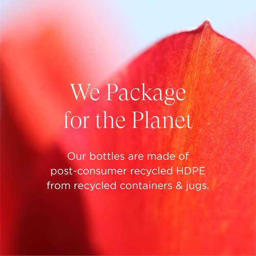 Intelligent Nutrients The Fixer AHA Resurfacing Gel - Formerly Glycolic Gel - Regenerating Plant-Based Chemical Peel Exfoliant Alternative for Face - Cell Turnover to Reduce Fine Lines (1 oz)