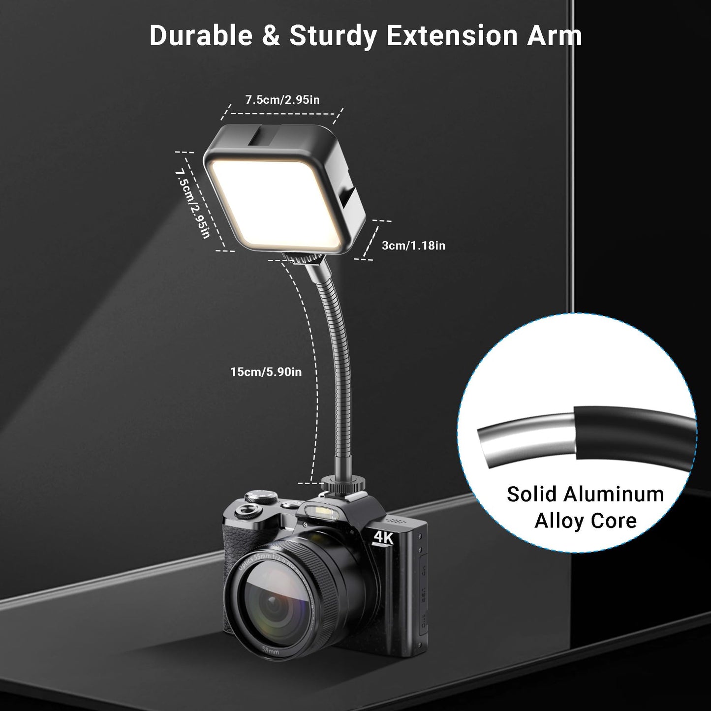 Zoom Light + Cold Shoe Light with Gooseneck