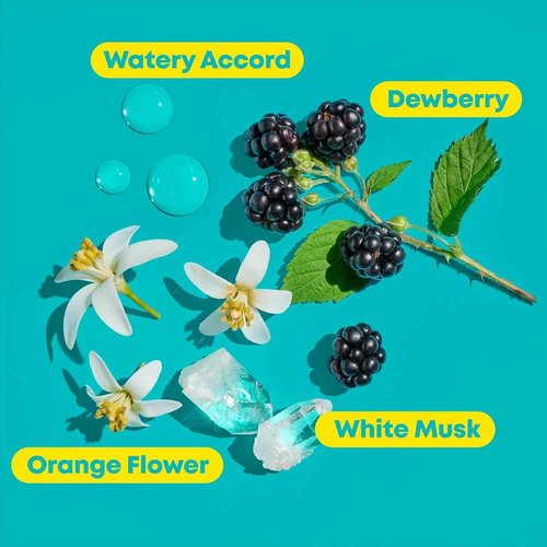 Matrix High Amplify Volumizing Shampoo & Conditioner Set | Instant Lift & Lasting Volume | Silicone-Free | For Fine or Thin Hair | Packaging May Vary | 33.8 Fl. Oz.