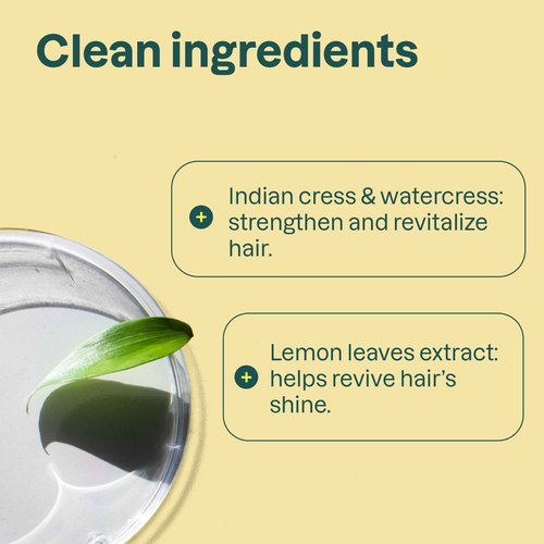 ATTITUDE Clarifying Hair Conditioner, Restores Shine, Naturally Derived Ingredients, Vegan Detangler, Dermatologically Tested, Lemon Leaves and White Tea, 8 Fl Oz (Pack of 6)