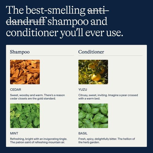 Flakes Anti Dandruff Shampoo and Conditioner Set for Men with Scalp Massager | Dry, Flaky, & Itchy Scalp Shampoo | Sulfate and Paraben Free | Hydrating Shampoo & Moisturizing Conditioner | 9 fl oz