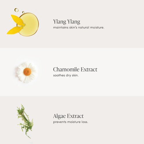 jane iredale D2O Hydration Spray Refill, 9.5 Fl Oz