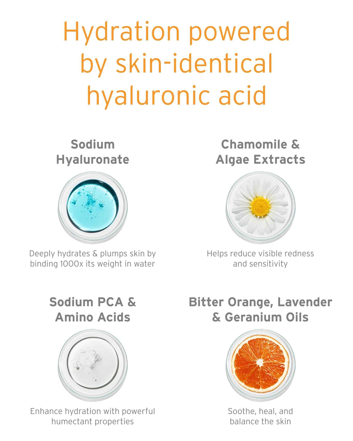 Kerstin Florian Hyaluronic Acid Serum | Moisturizing Anti-Aging Serum for Hydration & Plumpness | Paraben-Free | 1 fl oz