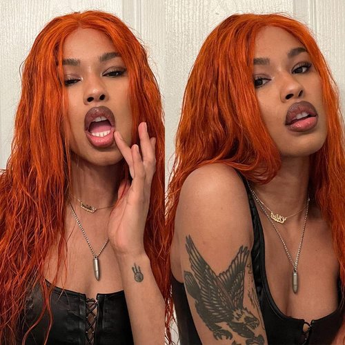 REMY Brazilian #350 Burnt Orange Color Bundle Long Straight Hair 100% Human Virgin Unprocessed Double Weft Weave (24 Inch)