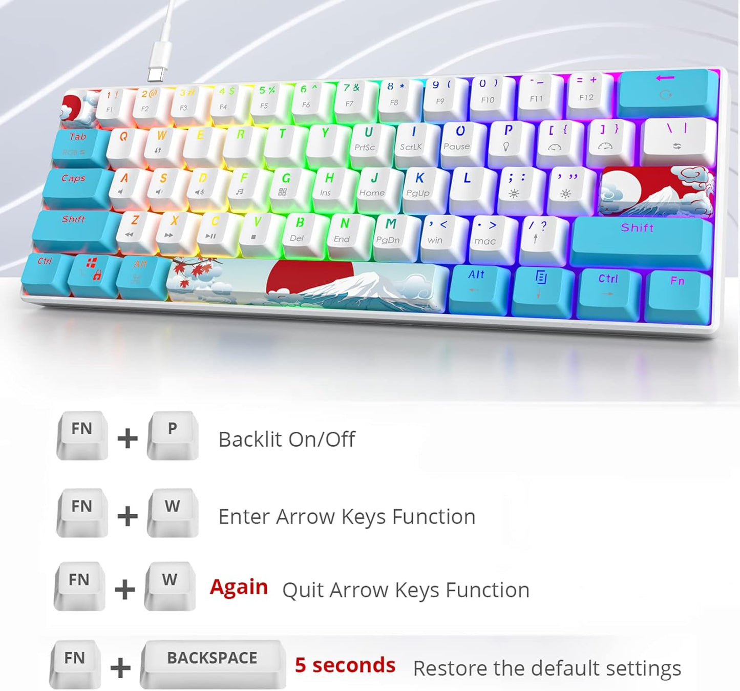 60 Percent Gaming Keyboard Portable 61 Keys Mechanical Keyboard Compact Wired Keyboard RGB Backlit for PC Laptop Gamer(61 Blue/Blue Switch)