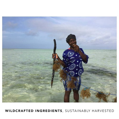 KAIBAE Baobab Face Oil | Microbiome Friendly, Luxurious Face Care | Baobab, Cacay, Seaweed, Sandalwood | Vegan, Clean Label (20 ml)