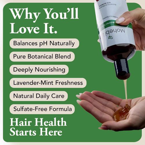 Mohebi Life Herbal Hair Shampoo for Men Formulated for Hair Health – DHT Support with Biotin, Saw Palmetto, and Other Natural Ingredints