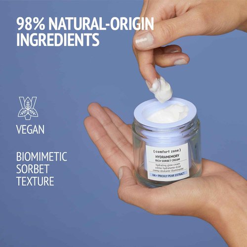 Hydramemory Rich Sorbet Cream