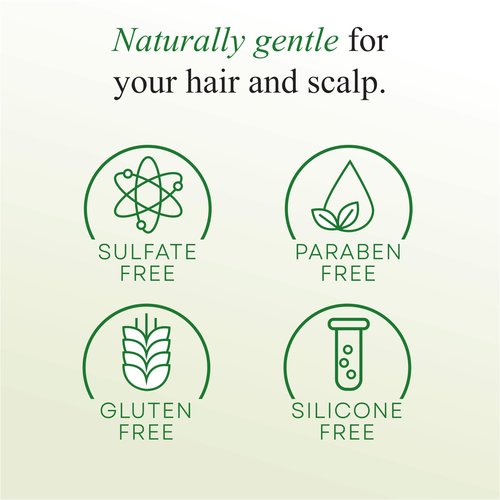 IDEN Signature Stem Cell Shampoo and Hair Masque Set, Promotes Healthy Hair Growth, Bee Propolis & Stem Cell Extracts, 12 fl.oz Each