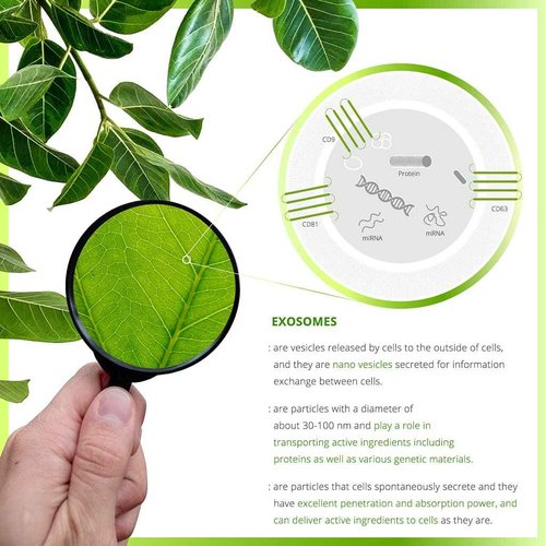 EXODROP Exosome Serum, Moisturizing&Regenerating Serum for Face, Ginseng tree Exosome, Quick-absorbing, Vegan, All skin types, 1.35 Fl Oz