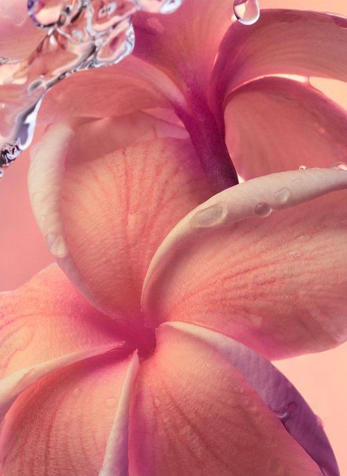 Paco Rabanne Olympea Solar Intense for Women - 1.7 oz EDP Spray