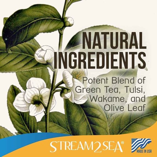 STREAM 2 SEA Leave-in Conditioning Shampoo and Body Wash - Natural, UV Absorbent, Sulfate-Free Hair and Body Cleanser, Detangles and Conditions