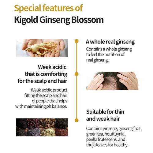 Daeng Gi Meo Ri- Ki Gold Ginseng Blossom 2 Shampoo Set, Real Ginseng Inside, Herbal Shampoo, Hair Growth, Preventing Hair Loss, 24.01 fl oz each