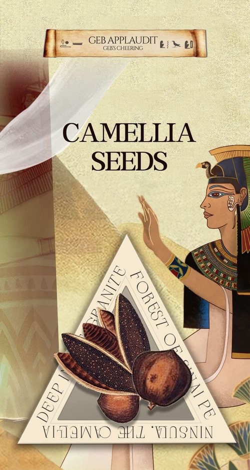 BUNNY DULCEA Castor Oil Scalp Rejuvenating Shampoo Deeply Cleanse Scalp Reduce Hair Loss Active Substance of Natural Keratin Repairs Hair Barrier Strengthens the Roots and Strands