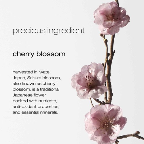 shu uemura art of hair Delicate Comfort Clarifying Shampoo For Dry Scalp & Hair - Cleanses and Softens, With Essential Nutrients and Antioxidants, 13.4 Fl Oz