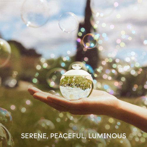 Cacharel NOA EDT - Womens Fragrance Gift Set - Floral Perfume, White Musk & Lily Accords, White Peony - Long Lasting - 2-Piece Set Includes Full Size Fragrance 3.4 Oz + 2 Shower Gels 1.7 Oz