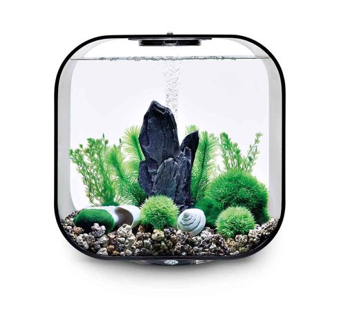 BiOrb Decor Set – 30L Stone Garden, Medium