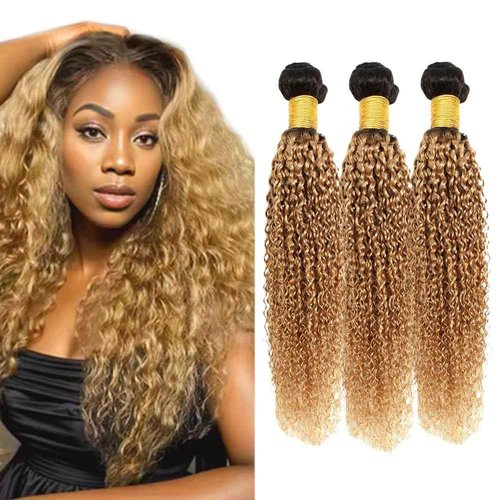 ZCMYVINND Honey Blonde Bundles Human Hair 1B27 Ombre Bundles Color 1b27 Curly Wave Bundle 2 Tone Black to Honey Blonde 12 14 16 Inch Unprocessed Virgin Hair for Black Women